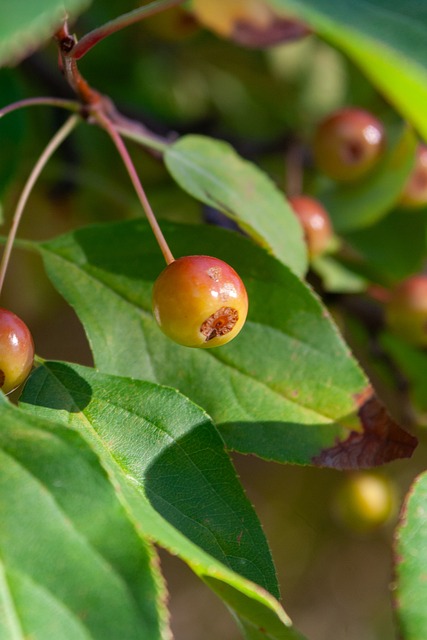 懈地相信自 懈地相信自