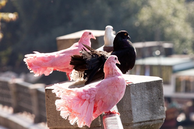 这也是他们 这也是他们