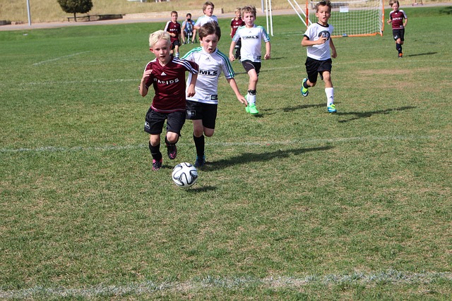 怀森的技术 怀森的技术