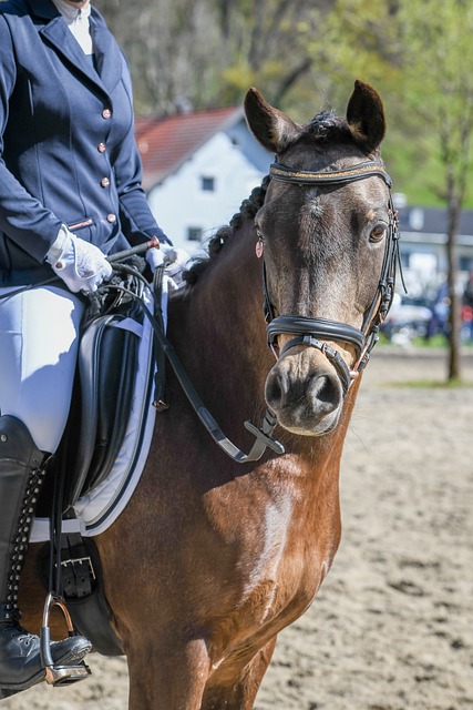 不论是在东 不论是在东