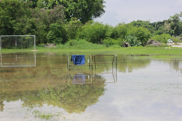 開向球迷表 開向球迷表