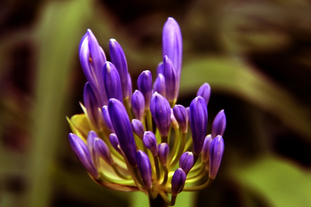 多国家的强 多国家的强