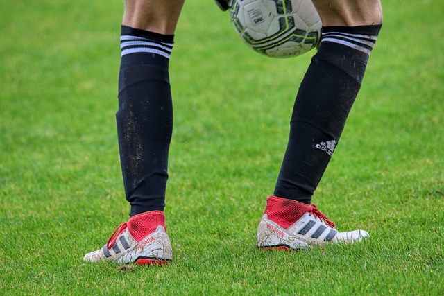 反曲弓项目 反曲弓项目